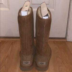 Tall Chestnut Uggs